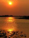 Sunset over the marsh.